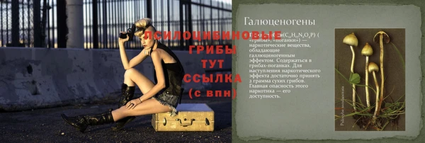 стаф Лихославль