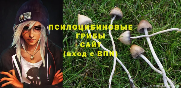 стаф Лихославль