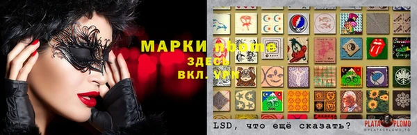 стаф Лихославль